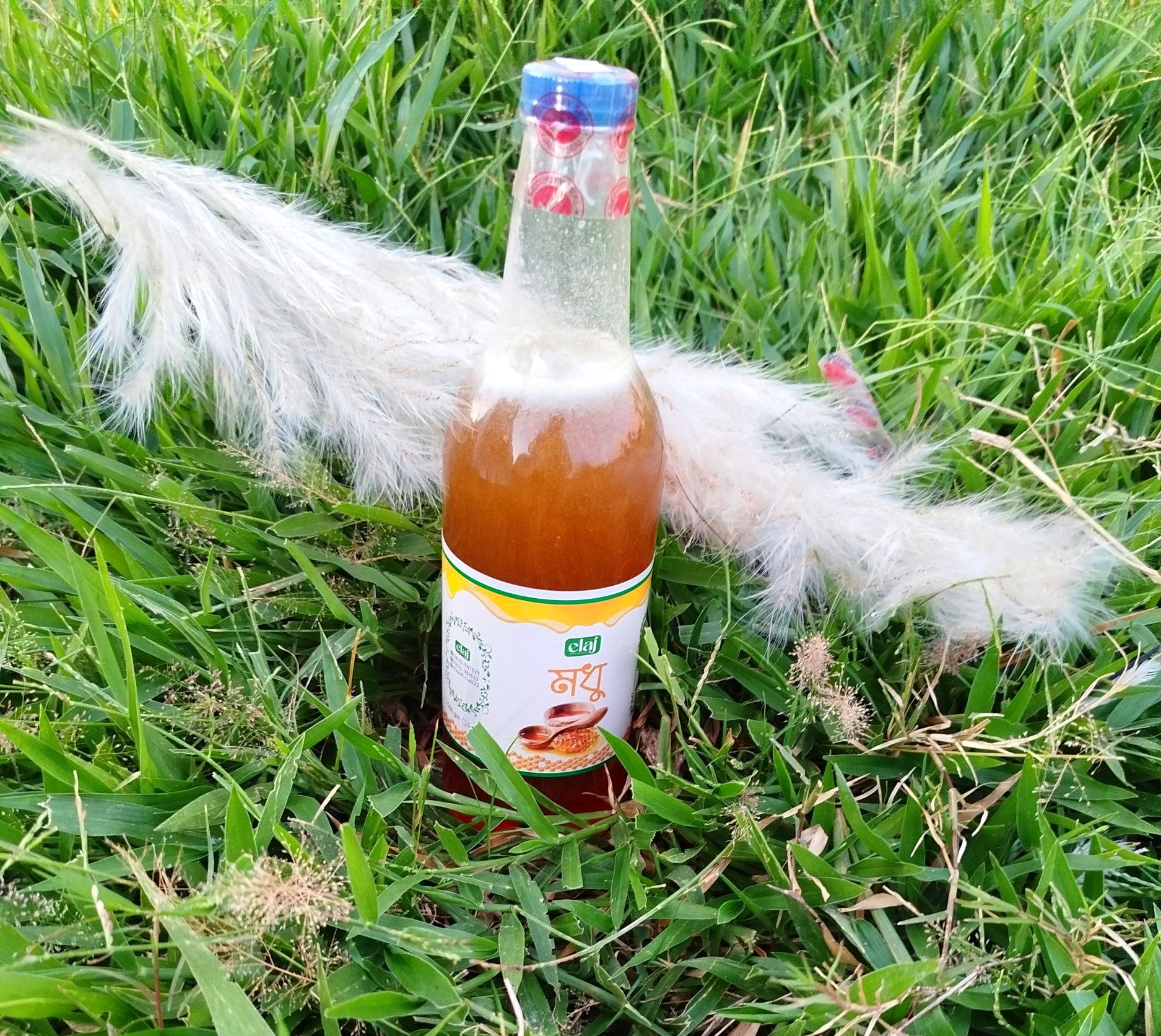 সরিষা ফুলের খাঁটি মধু - Image 3